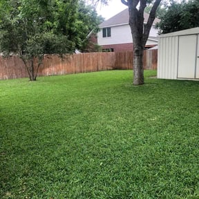 landscaping by B.Y.O.B. SERVICES reviewed on August 17, 2025