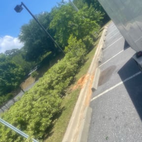 Leaf Removal by Natural vibe  maintenance service reviewed on September 14, 2025