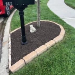 Flower Bed Weeding by USA Lawncare Inc reviewed on August 13, 2025