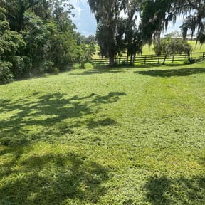 residential landscaping by Blessedhands reviewed on August 20, 2025