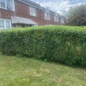 Bush Trimming by Twin Mountain Landscape  reviewed on August 21, 2025