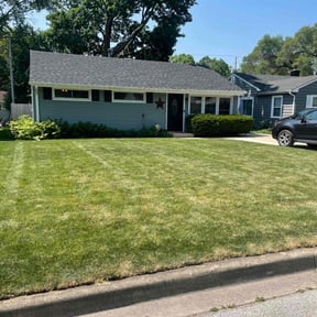 grass cutting by Solo Lawns reviewed on November 25, 2023