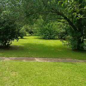 Long Grass Cleanup by Rickys lawn care  reviewed on December 11, 2025