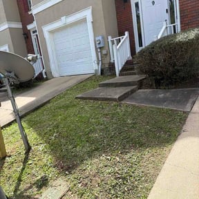 Bush Trimming by Fosters lawn care reviewed on March 17, 2026