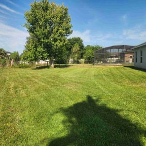 residential landscaping by Triway tree service and lawn reviewed on August 17, 2025
