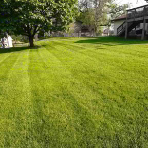 landscaping by Just us landscaping LLC reviewed on August 21, 2025