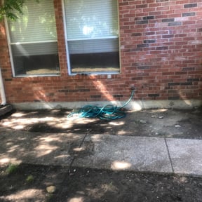 Leaf Removal by Henry' Land Development reviewed on August 15, 2025