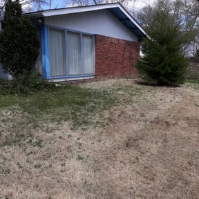 Bush Trimming by Torres Lawn Care reviewed on July 26, 2023