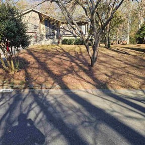 Leaf Removal by Green Lawn Services reviewed on March 3, 2026