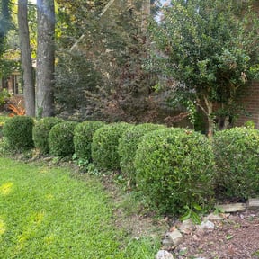 Bush Trimming by New Beginning Landscaping reviewed on August 20, 2025