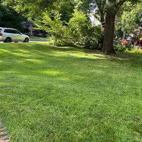 Other by Together United Services LLC reviewed on October 26, 2024