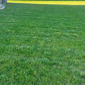 lawn care by K’S Up landscaping reviewed on August 21, 2025