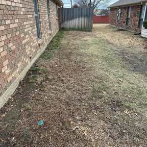 Leaf Removal by Visions Landscaping reviewed on August 15, 2025