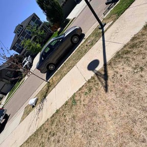 Leaf Removal by Armed and Ready Services reviewed on July 11, 2026