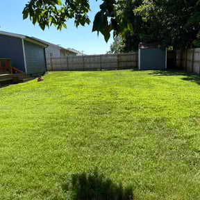 gardening service by Code777 reviewed on August 19, 2025