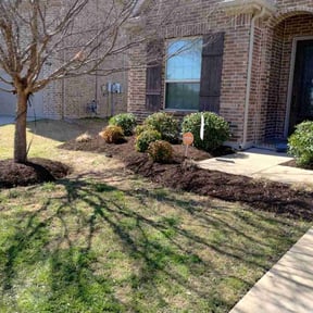 Bush Trimming by First Choice Landscaping of St Augustine reviewed on August 19, 2025
