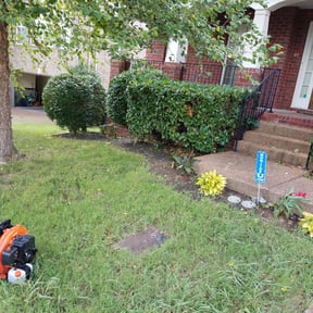 Bush Trimming by Redneck Lawn Care and Landscaping reviewed on August 20, 2025
