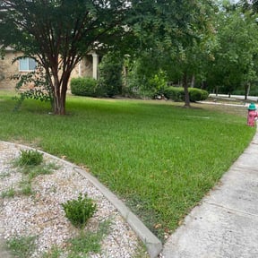 lawn service by Roy Lawn Service reviewed on September 17, 2023
