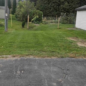 grass cutting by Visionary Mowing LLC reviewed on May 7, 2024