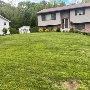 grass maintenance by 66landscaping.com reviewed on August 19, 2025
