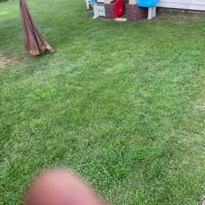 grass maintenance by Mason Lawn Business reviewed on November 26, 2023