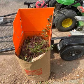 Bush Trimming by UnlimitedGroundCare. reviewed on March 23, 2026