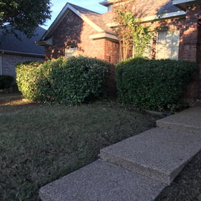 Bush Trimming by Brown Lawn and Landscape L.L.C. reviewed on August 16, 2025