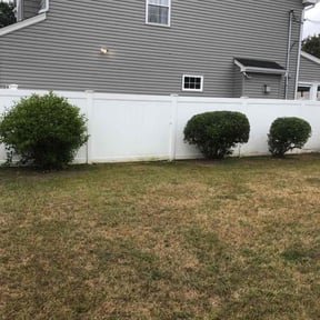 Bush Trimming by Mainline Lawn Care reviewed on December 19, 2025