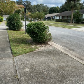 Bush Trimming by BCC Enterprise LLC reviewed on August 20, 2025