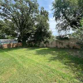 yard maintenance by Cut N Clean LLC reviewed on November 27, 2025