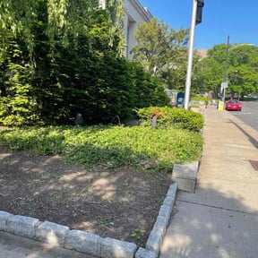 Flower Bed Weeding by Cuts and Stuff reviewed on May 17, 2026