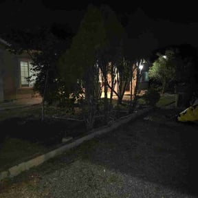 Bush Trimming by Property Enhancements reviewed on November 9, 2025