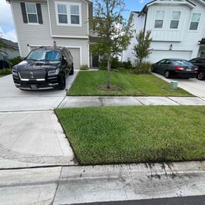 landscape maintenance by Lowcountry yard maintaince reviewed on August 15, 2025