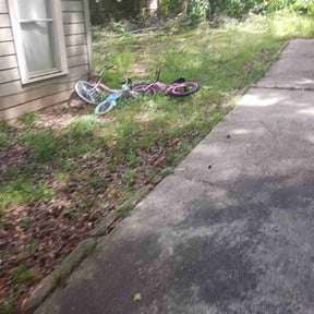 Leaf Removal by Brandon Figaro reviewed on May 25, 2026