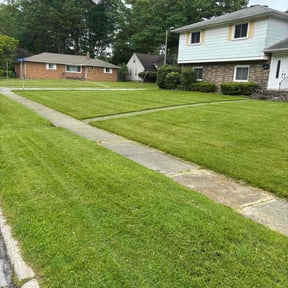yard care by Premium Design Landscaping Inc reviewed on August 15, 2025