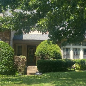 Bush Trimming by Deanscapes reviewed on August 18, 2025