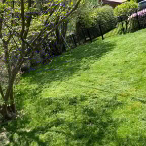 lawn care services by Gibson Lawn Care reviewed on April 6, 2024