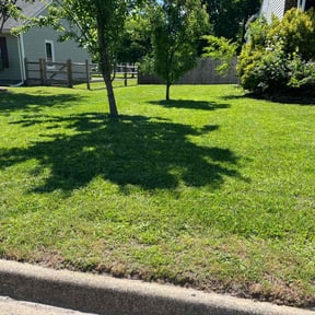 landscaping services by Taurus enterprise and construction LLC reviewed on August 21, 2025