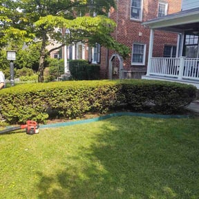 Bush Trimming by The GreenerSide Lawn Care reviewed on August 19, 2025