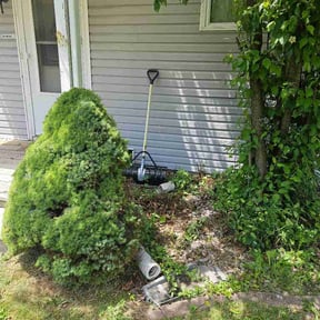Bush Trimming by Flippo's Land Management &amp; Property Services reviewed on June 9, 2026