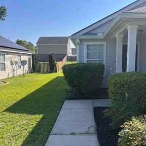 Bush Trimming by Foxglove Turf reviewed on August 1, 2026