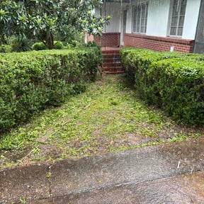 Bush Trimming by Libertos landscaping junk removal reviewed on August 29, 2026