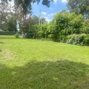 lawn care services by S&S Landscaping.. reviewed on January 21, 2024