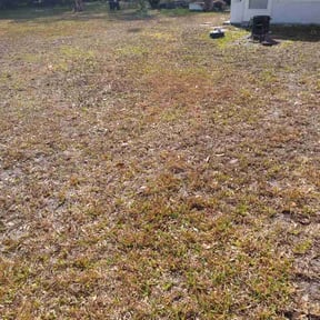 Leaf Removal by Central Valley Yard Services reviewed on May 8, 2026