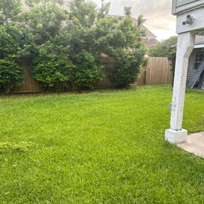 landscaping by Mowtivated Landscaping reviewed on August 19, 2025