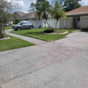 turf care by Mr Lawn Service reviewed on April 26, 2024