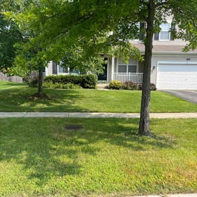 yard maintenance by FlexCuts Lawncare reviewed on August 18, 2025