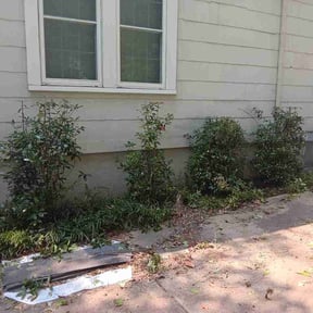 Bush Trimming by Solorio garden reviewed on August 29, 2026