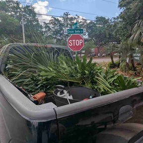 Bush Trimming by Yard Service reviewed on August 19, 2025