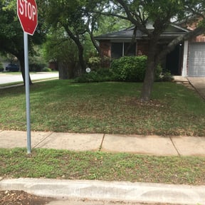Leaf Removal by NEW CREATION LAWN PROFESSIONALS reviewed on October 3, 2025